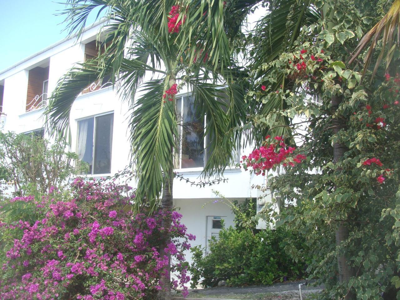 Coral Lane Beach Apartments Сейнт Джеймс Екстериор снимка